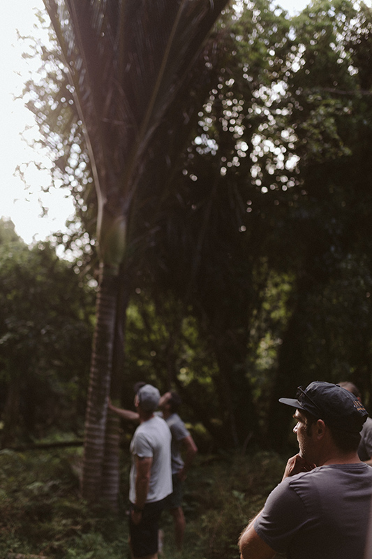 Recharge Wellness Retreat